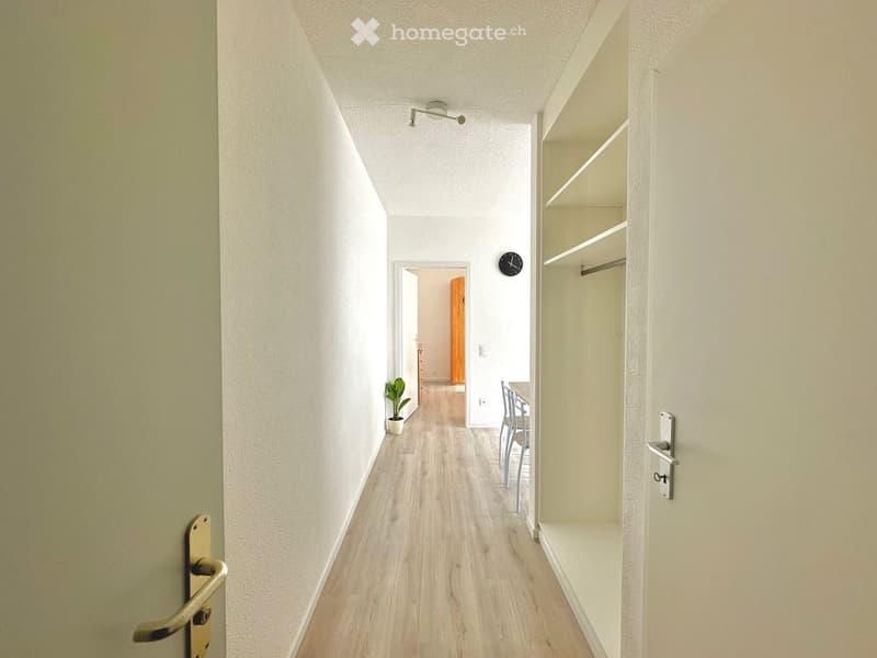 Empty hallway with wooden floor, white walls, potted plant, ceiling lamp, and a dining table with chairs.