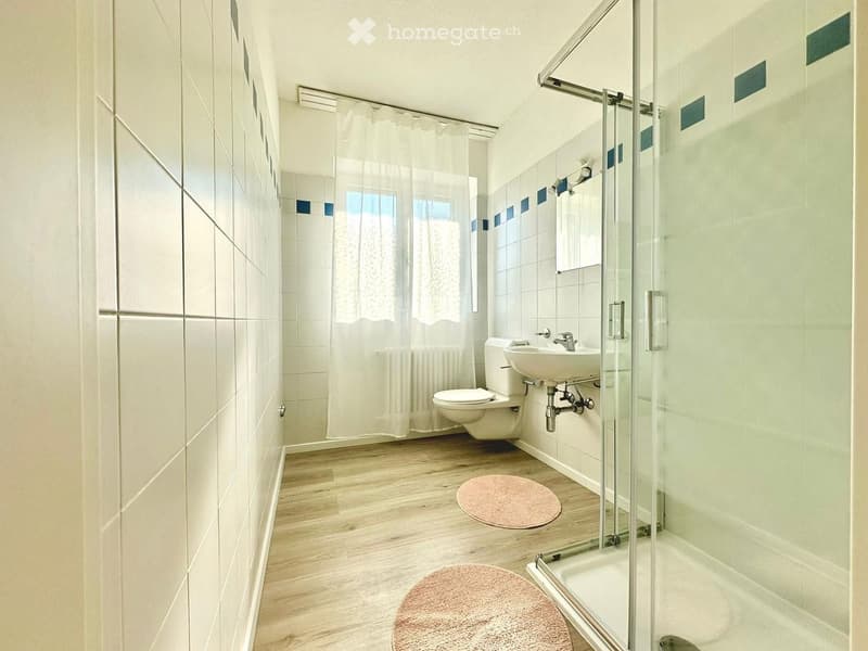 white tiles, wooden floor, white toilet, white sink, glass shower, pink rugs