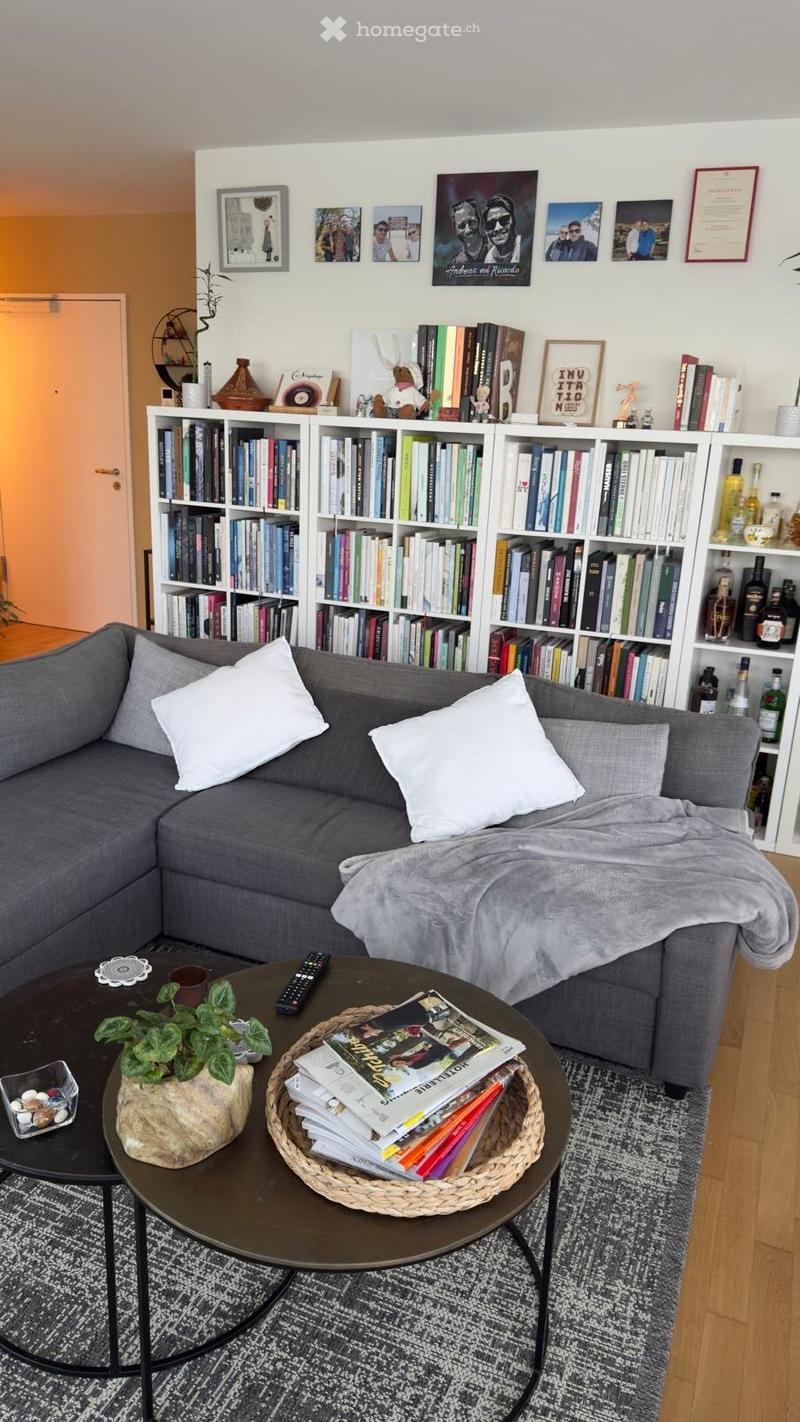 Living room with gray sofa, two white pillows, a coffee table with a plant, magazines, and a remote control, a carpet, and a bookshelf with books and framed pictures.