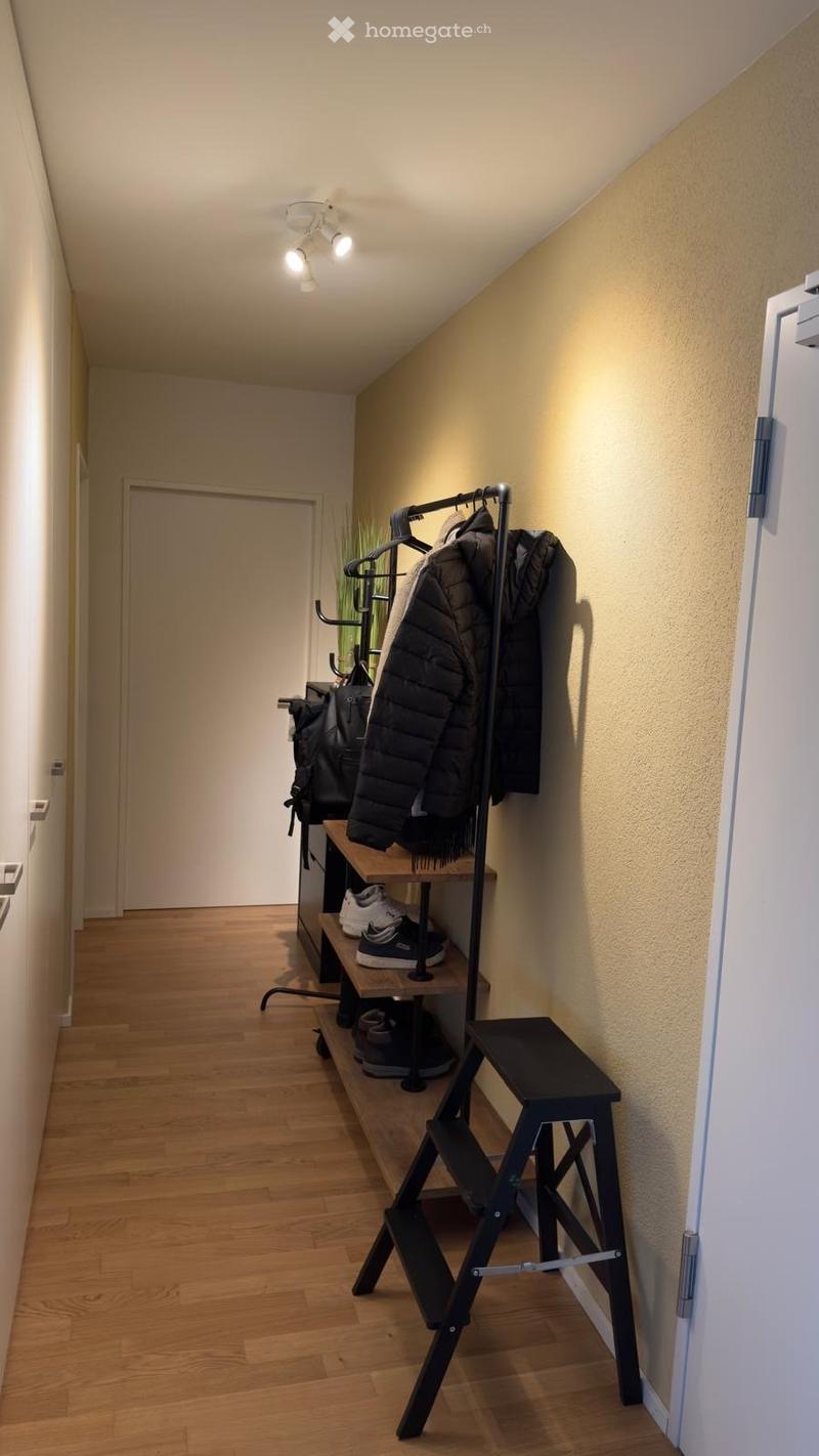 wooden floor, white walls, clothes rack, shoes, bags, step stool, lights