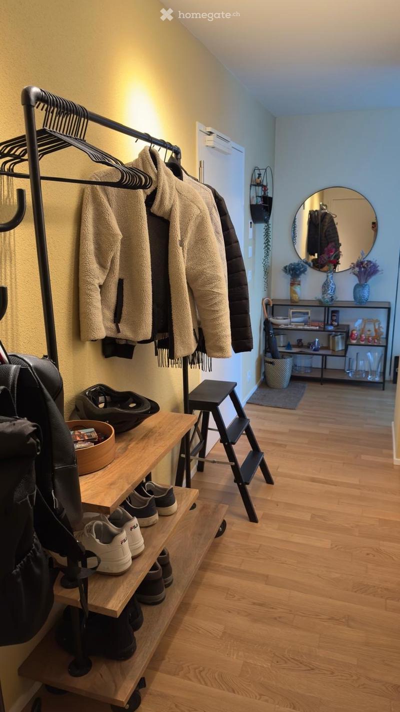 Entrance hall with wooden floor, coat rack, shoes, bags, mirror, shelf, ladder, and rug