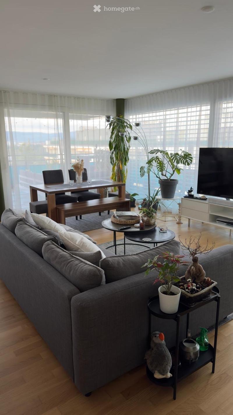 large windows, gray couch, wooden floor, dining table, TV, plants