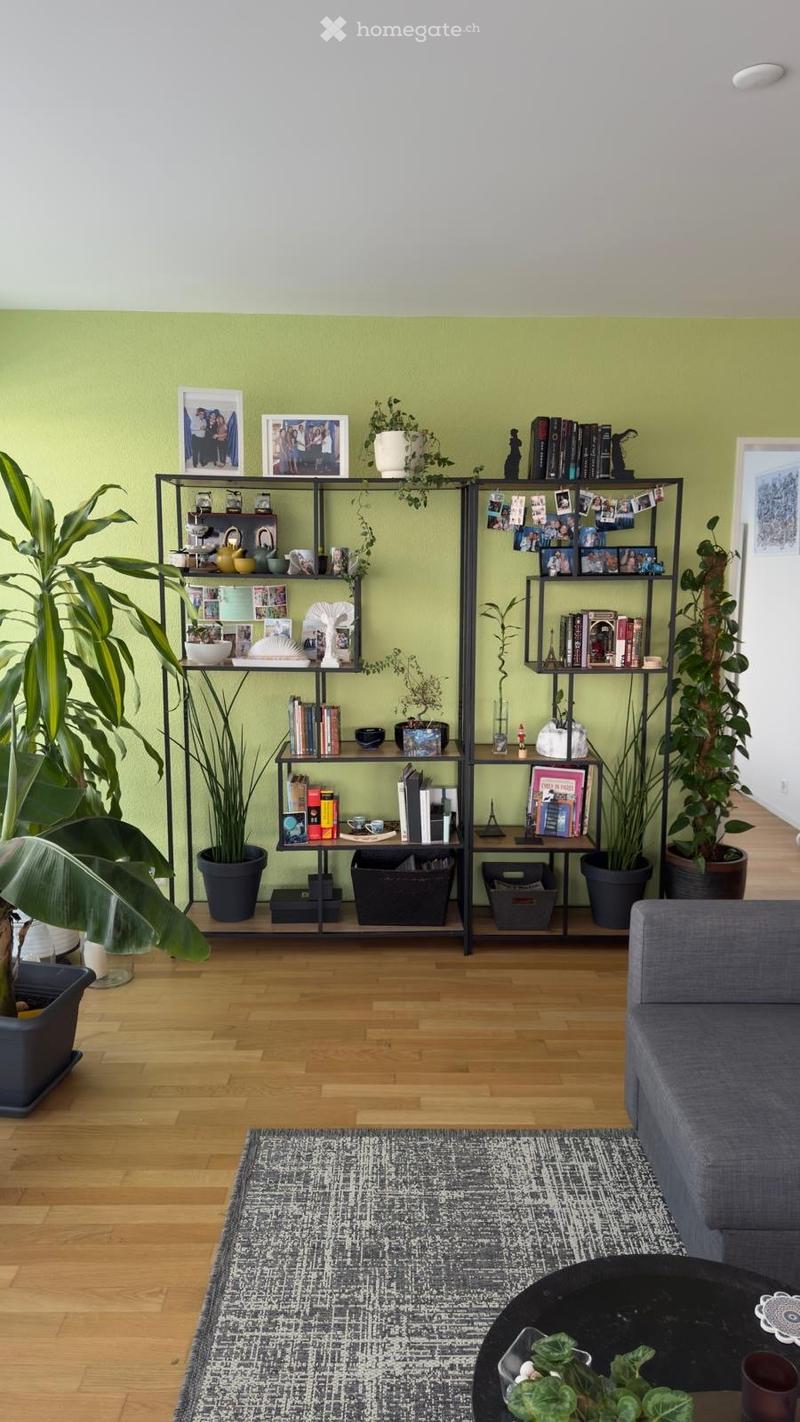 Living room with green walls, wooden floor, gray couch, two large shelves with plants and books, rug, and a coffee table with a plant on it.
