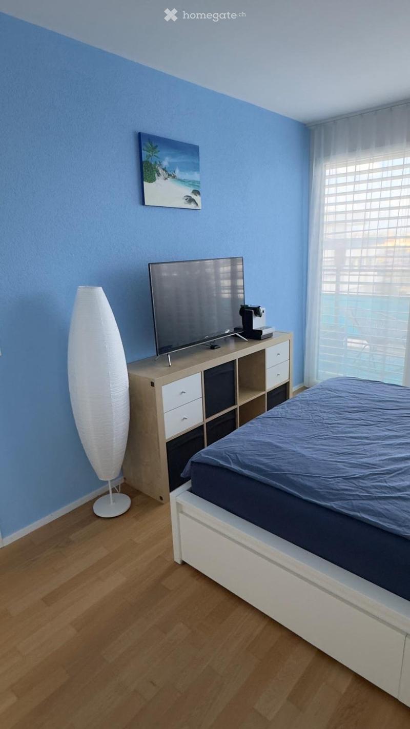 Bedroom with blue walls, wooden floor, bed, TV, entertainment center, lamp, picture frame, window with curtains
