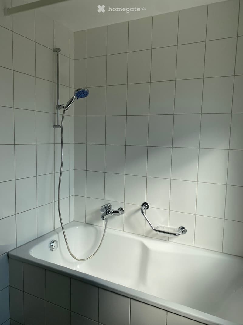 Bathtub, shower head, shower handle, soap dish, white tiles