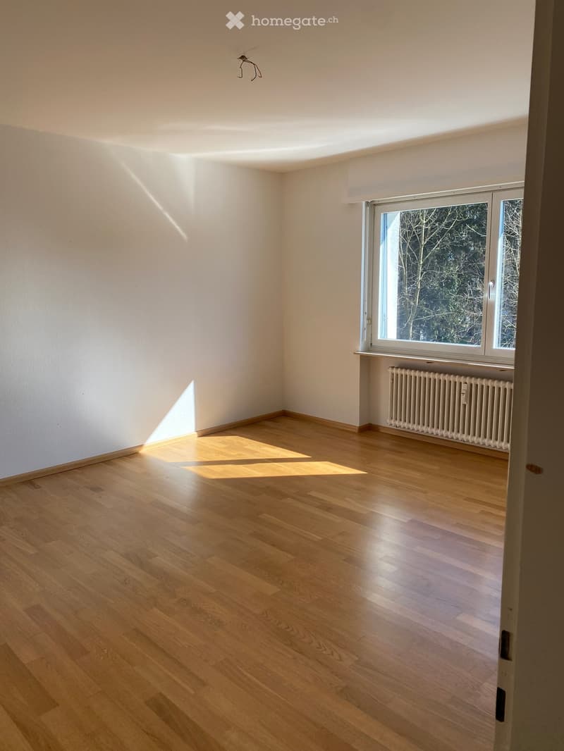 empty room, wooden floor, white walls, large window, white radiator