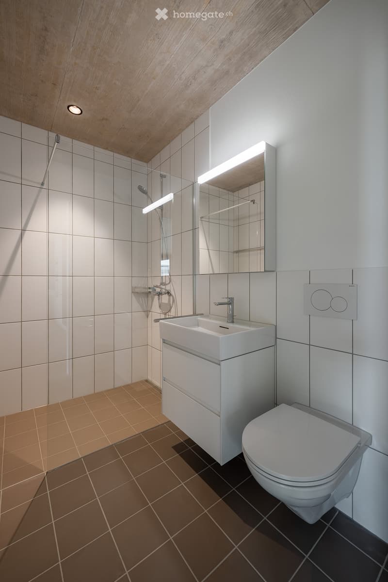 white tiles, silver fixtures, floor level slightly lower than the entrance