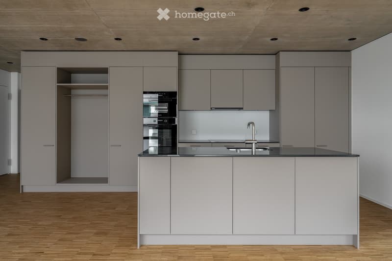 modern kitchen, integrated oven, sink with faucet, countertop, wooden floor
