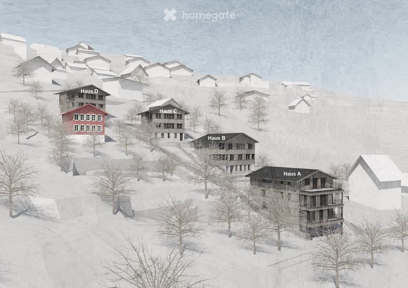 5 houses on a snowy hill, each with different colors and sizes, surrounded by trees and snow