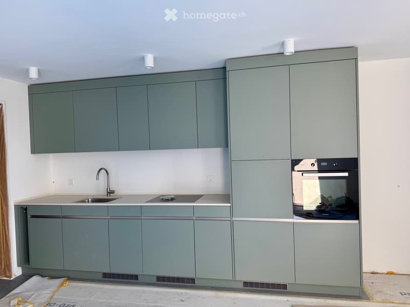 modern kitchen with green cabinets, stainless steel sink, gas stove, built-in oven, ceiling lights