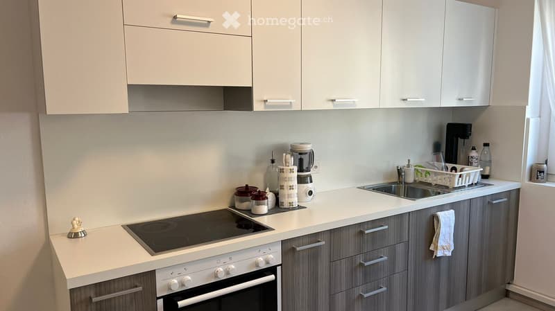 modern kitchen with white cabinets, induction stove, dishwasher, sink, white countertops, appliances