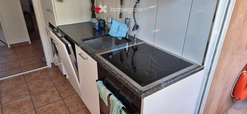 modern kitchen with granite countertops, induction stove, dishwasher, washing machine, sink, cleaning products