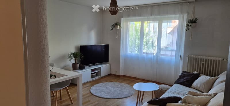 Living room with a couch, a table, a TV, a rug, and a window with white curtains