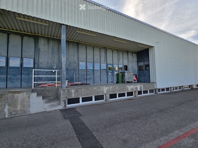 Industrial building with large doors, concrete floor, metal railings, windows, and a parking area.