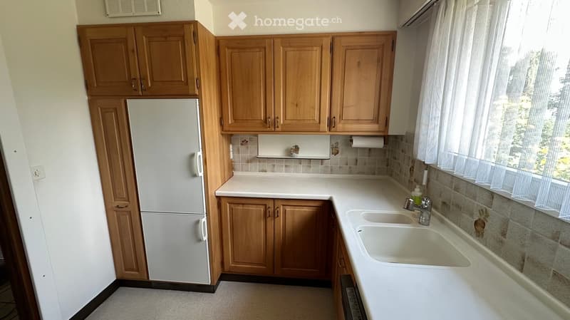 double kitchen sink, white refrigerator, wooden cabinets, tiled backsplash, open shelving, countertop