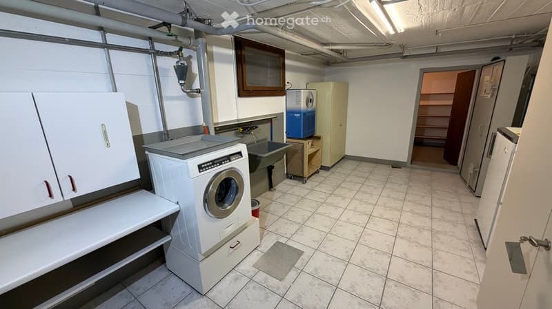 washer, dryer, cabinets, shelf, sink, bucket
