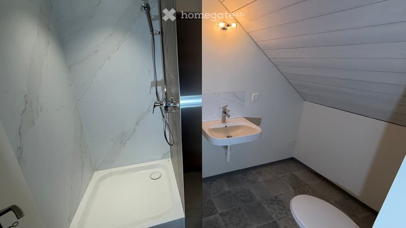 White marble shower, white sink, white toilet, wooden wall paneling