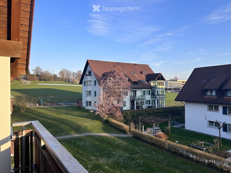 Balcony view overlooking a well-maintained lawn, a small playground, and neighboring houses with pitched roofs and green shutters.