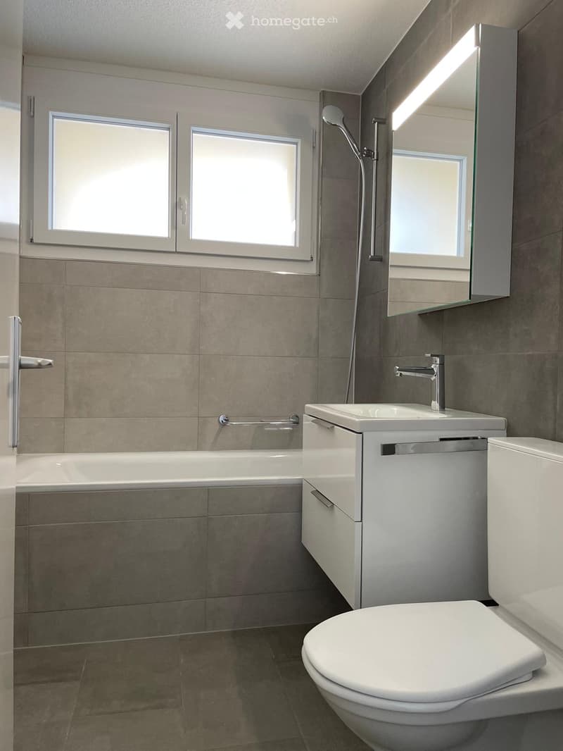 modern bathroom with bathtub, white sink, white toilet, mirror, shower head, faucet