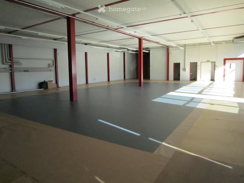 Empty large room with red columns and grey floor.