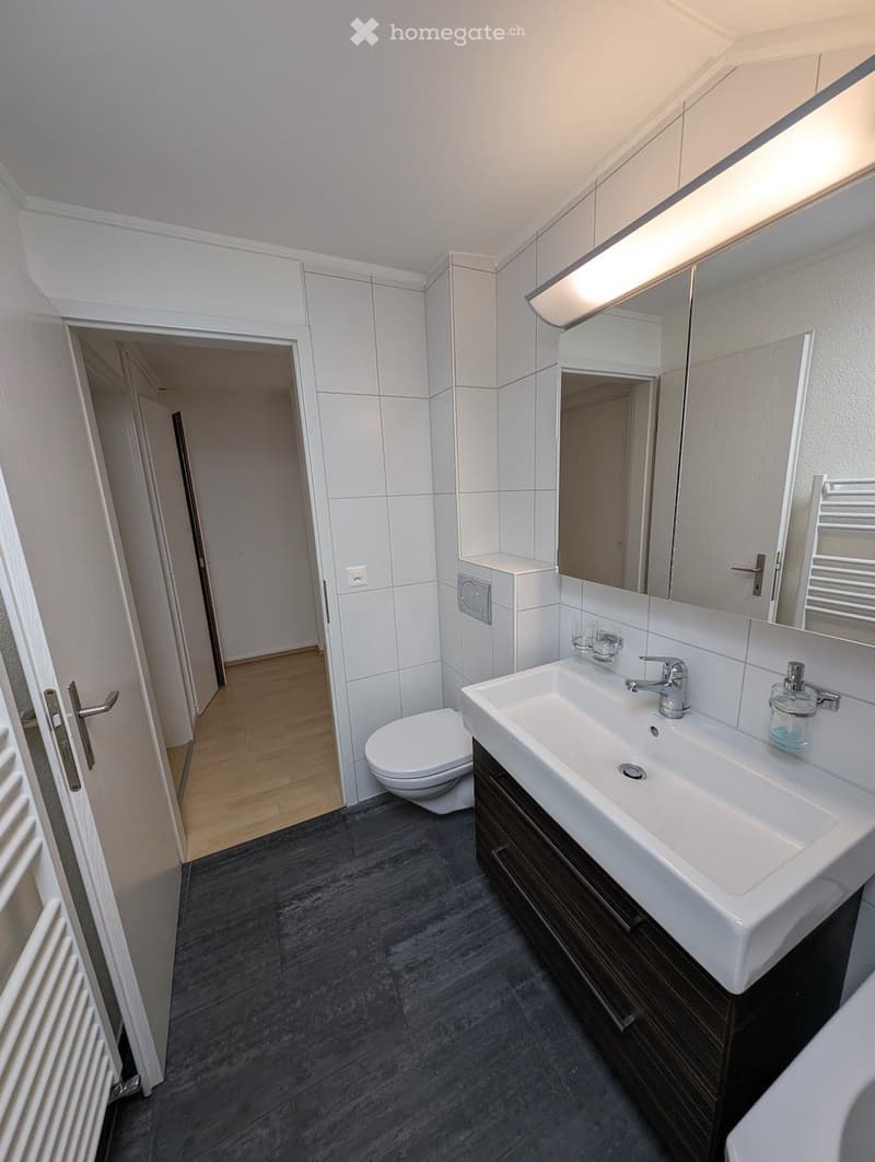 Bathroom with white walls, wooden floor, toilet, sink, mirror, and radiator. Large sink with a faucet and bottle of soap. Tiled shower area with towel rack.