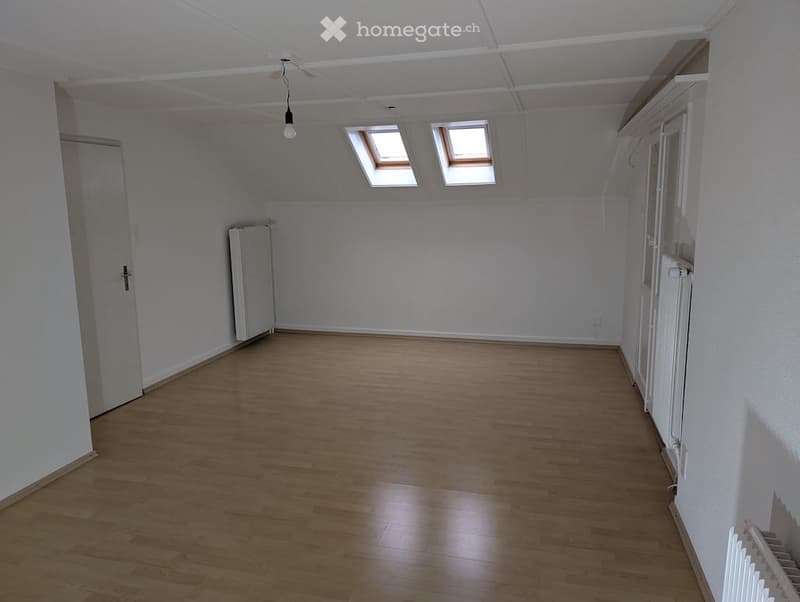Empty room with wooden floor, white walls, 2 skylights, white ceiling and 3 radiators