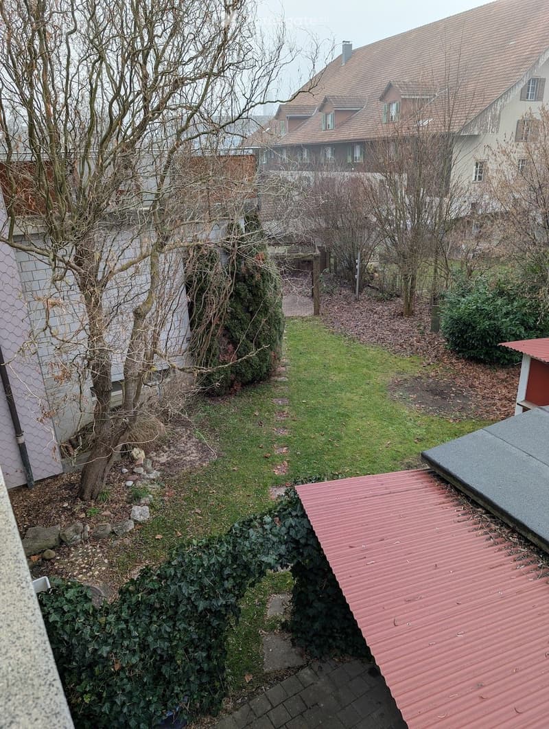 Garden, backyard with grass and bushes, small path, shed, covered area