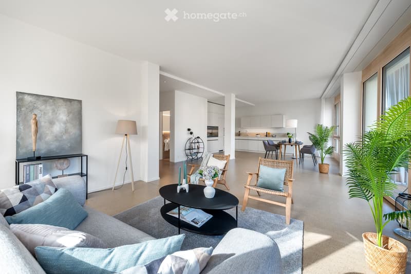 modern design, white walls, gray couch, black coffee table, floor lamp, plants, open kitchen, dining table, large windows