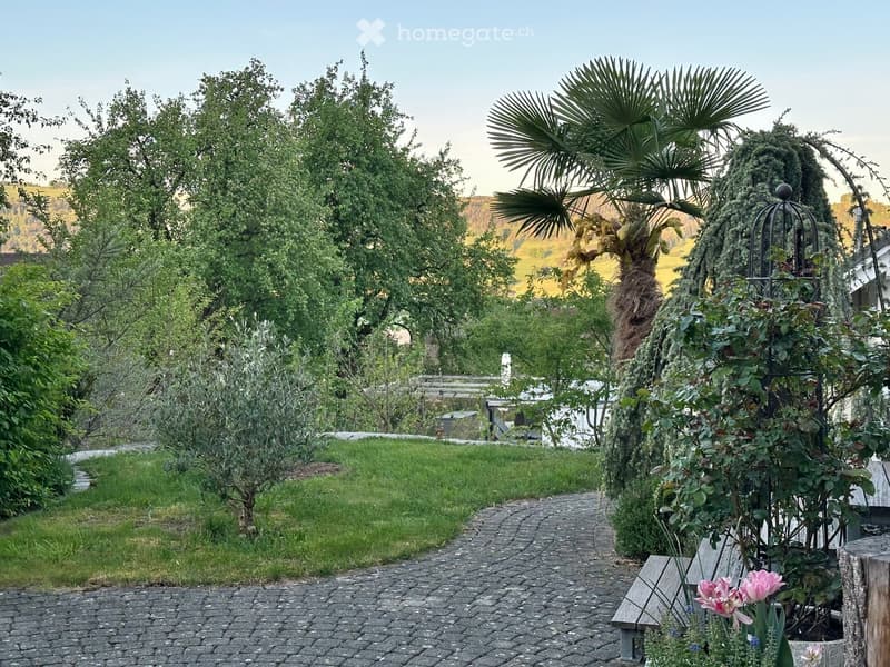 cobblestone pathway, green lawn, various trees and plants, wooden bench, pink flowers, distant mountains