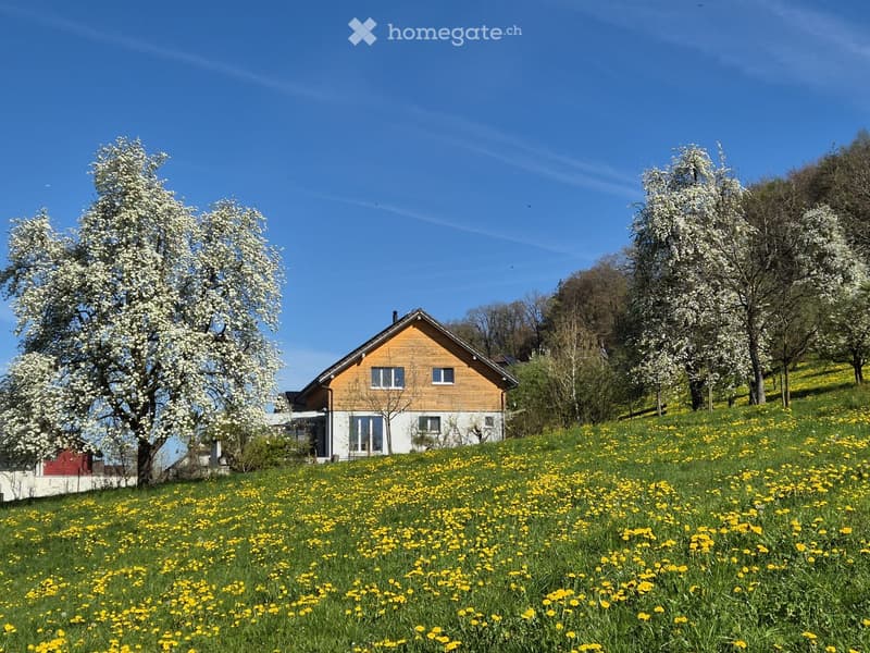 Detached house, wooden exterior, white walls, glass windows, surrounded by trees and flowers, on a hill