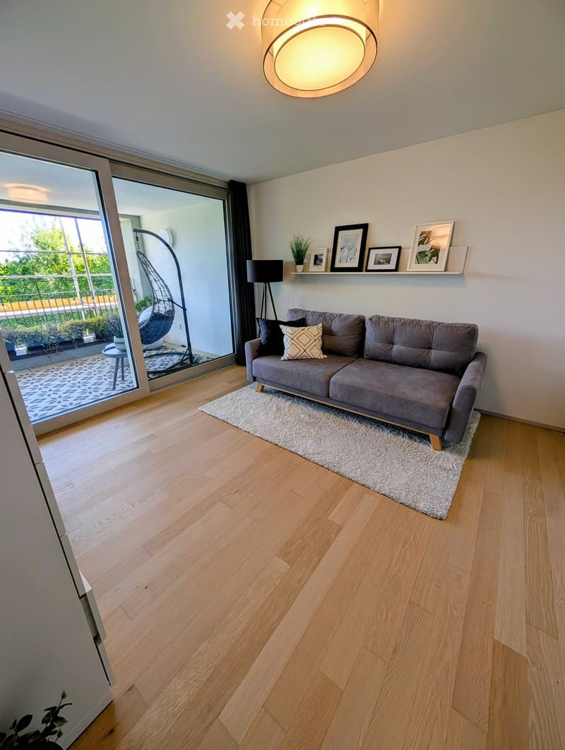 living room with gray couch, white rug, glass doors, balcony, plants, ceiling lamp