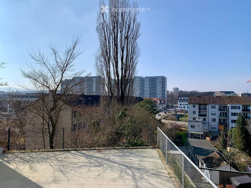 A rooftop garden with a metal fence and tiled floor, with a view of the city.