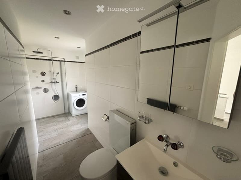 Modern bathroom with white tiles, a toilet, sink, mirror, and a private washing machine in the corner.