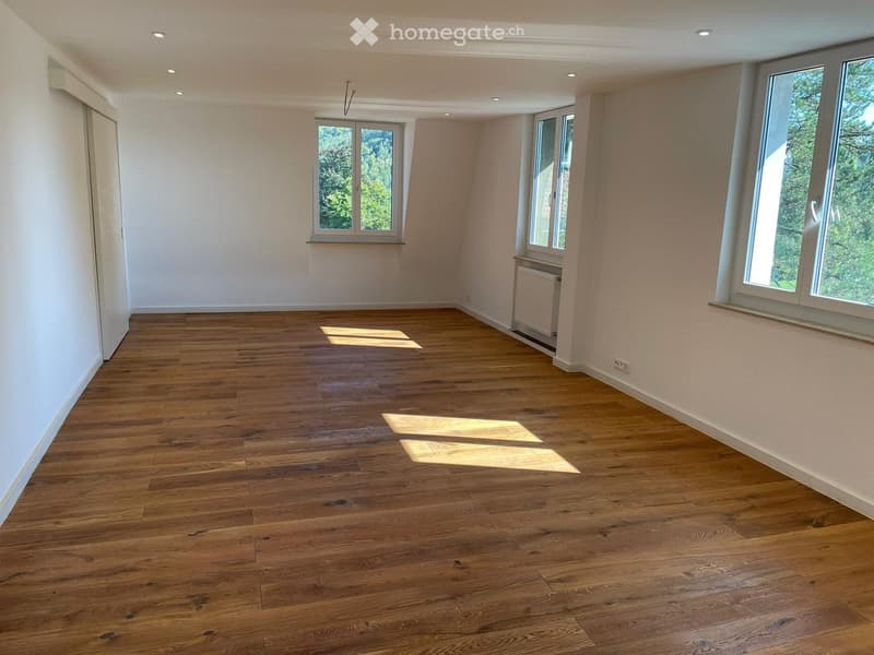 empty room, wooden floor, white walls, windows, heater