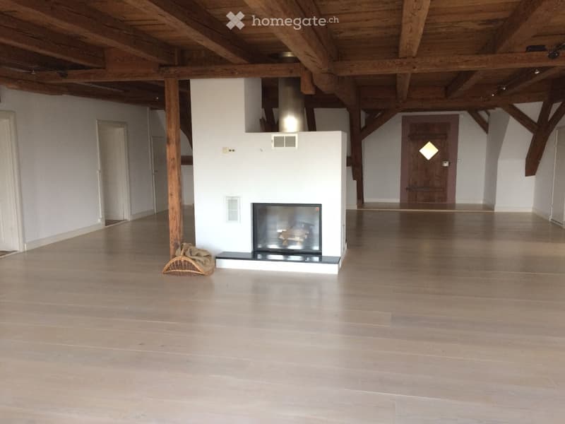 wooden ceiling, fireplace, wooden floor, white walls, wooden doors
