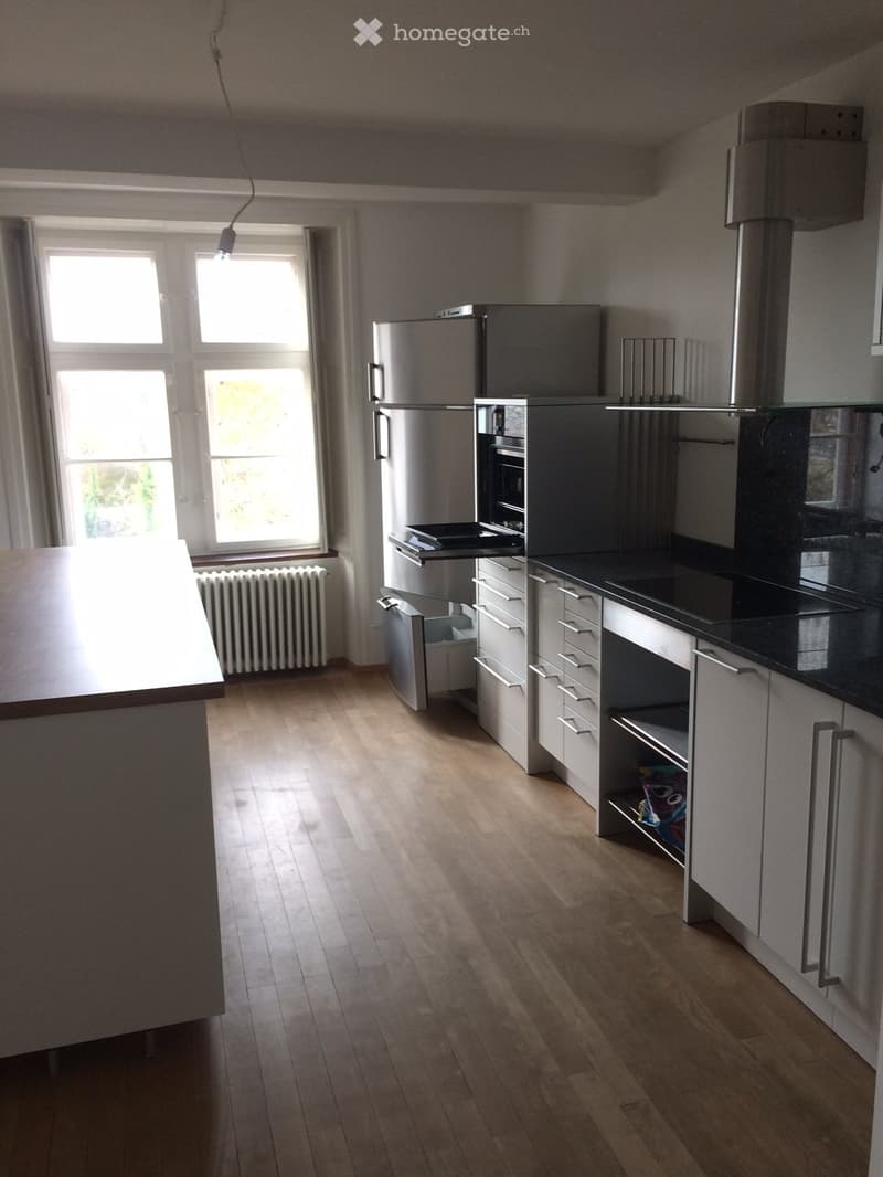 modern kitchen, stainless steel appliances, white cabinets, wooden floor, large windows
