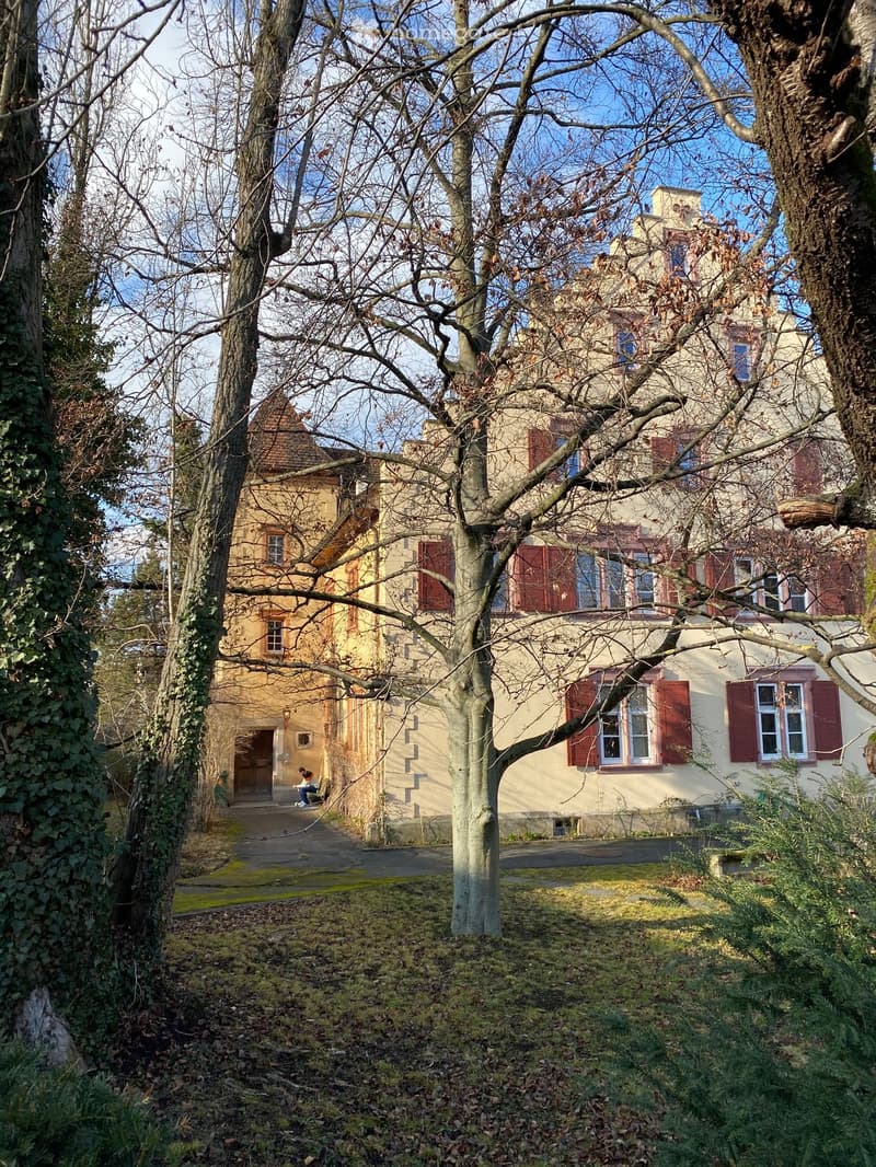 Large yellow building with red shutters, multiple windows, entrance with a door, surrounded by trees and plants