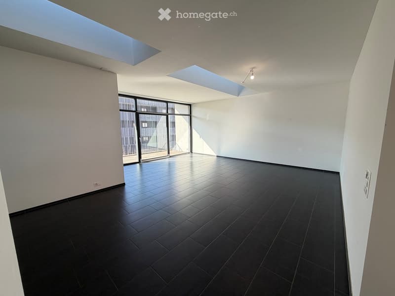 Empty room with white walls, black tiled floor, skylights, glass sliding doors with a terrace outside