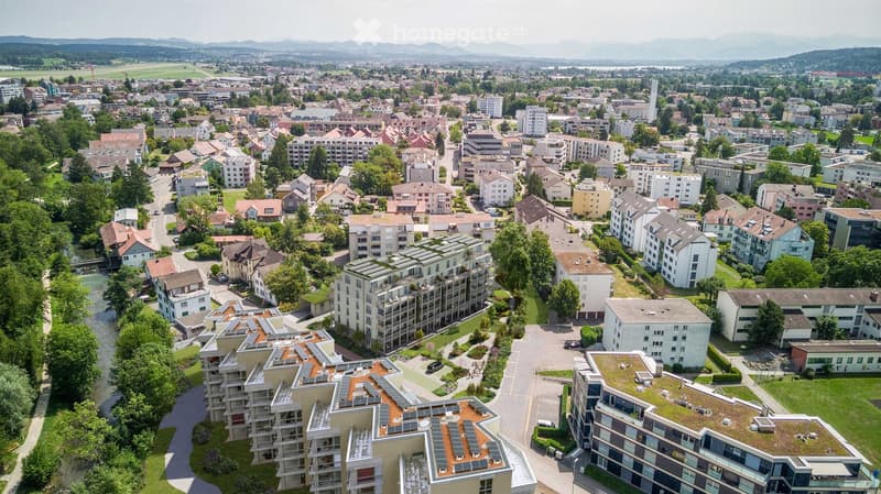 Aerial view of a city with many buildings, some with solar panels on the roofs, surrounded by trees and grass, with a river and mountains in the distance.
