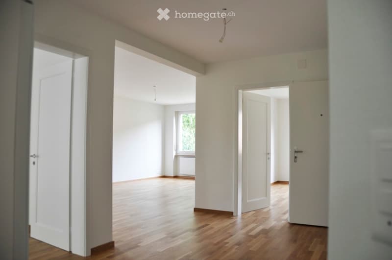 empty room, white walls, wooden floor, white doors, window with white frame