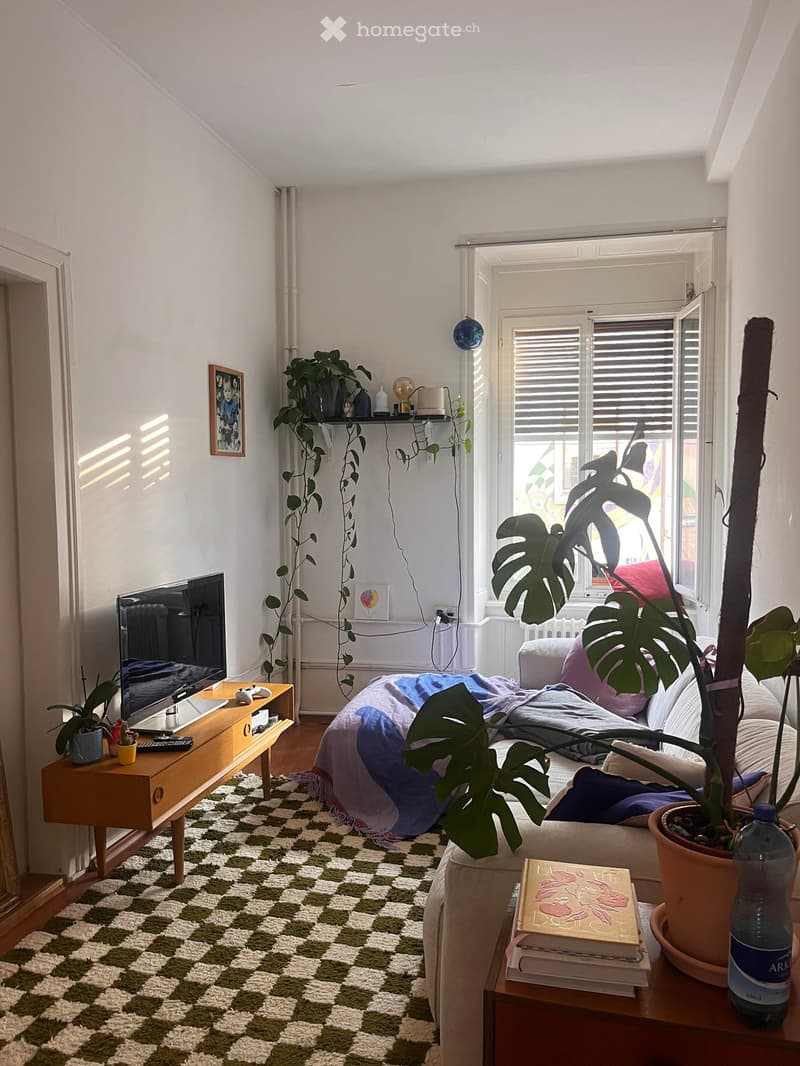 Living room with a couch, a television, a wooden table, a potted plant, a rug, and a window with blinds