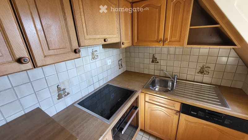 wooden cabinets, tiled walls, induction stove, stainless steel sink, dishwasher