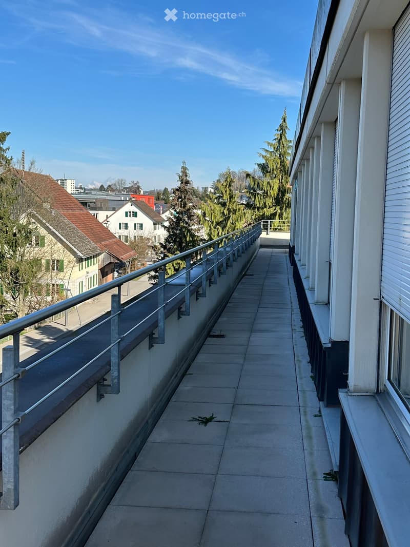 Balcony with metal railings, concrete floor, white walls, windows with shutters, trees in the background