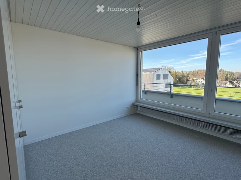 empty room, white walls, gray carpet, large windows, balcony, view of a field