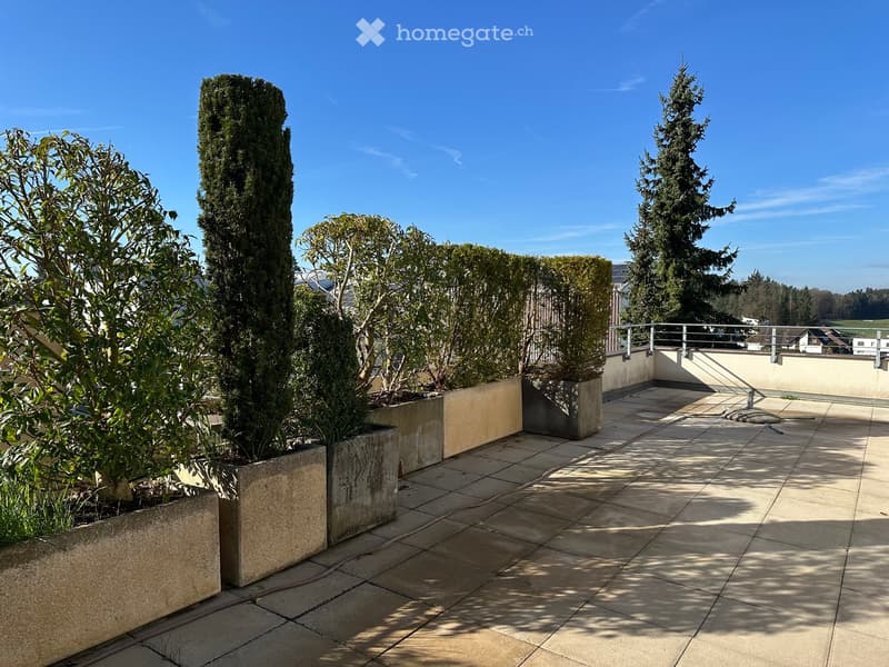 Terrace with tiled floor, metal railing, and several large potted plants. The terrace offers a view of the surrounding area.