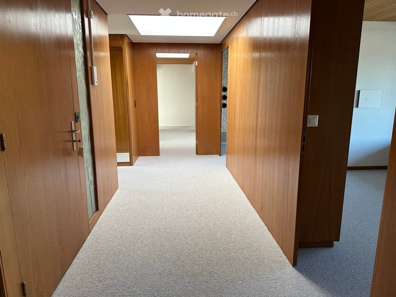 Empty hallway with wooden walls, carpeted floor, and ceiling lights
