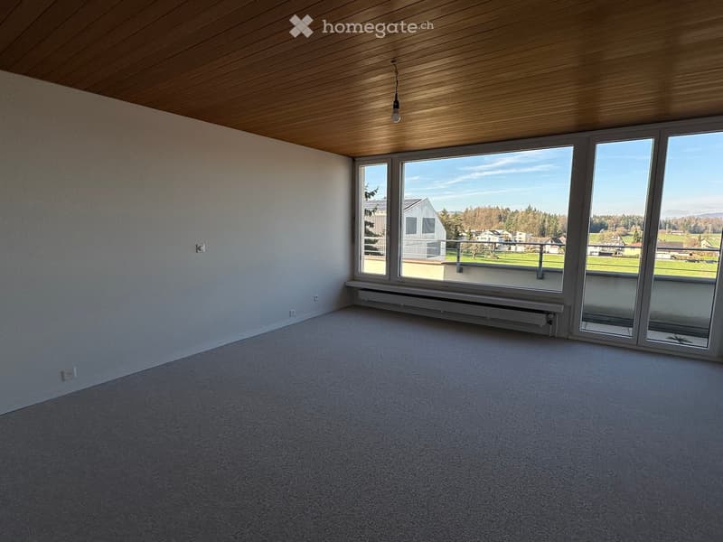empty room, large windows, balcony, wooden ceiling, carpeted floor