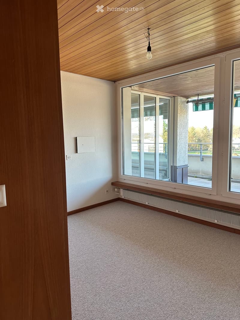 empty room, large windows, balcony, wooden ceiling, white walls, carpeted floor