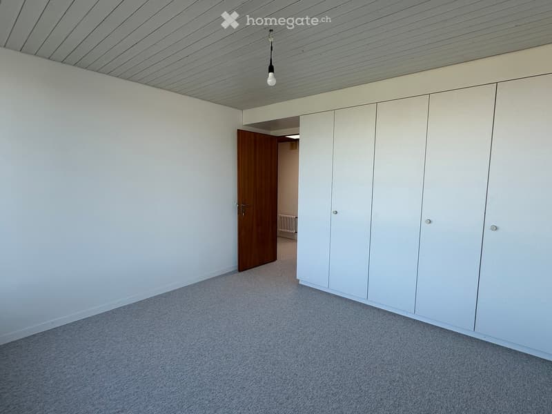 empty room, white walls, wooden door, white wardrobe, gray carpet