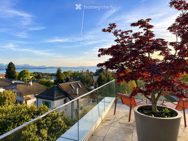 A balcony with a glass railing, a large potted plant, and two orange chairs.